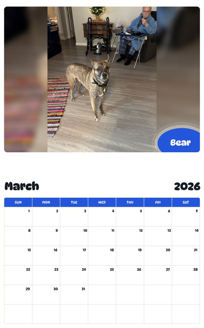 November 2025 - October 2026 Bear - Pawidols Pet Calendar
