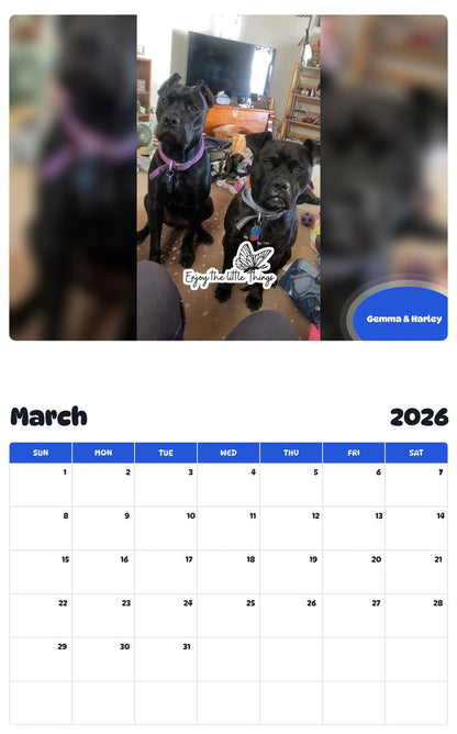 November 2025 - October 2026 Gemma & Harley - Pawidols Pet Calendar