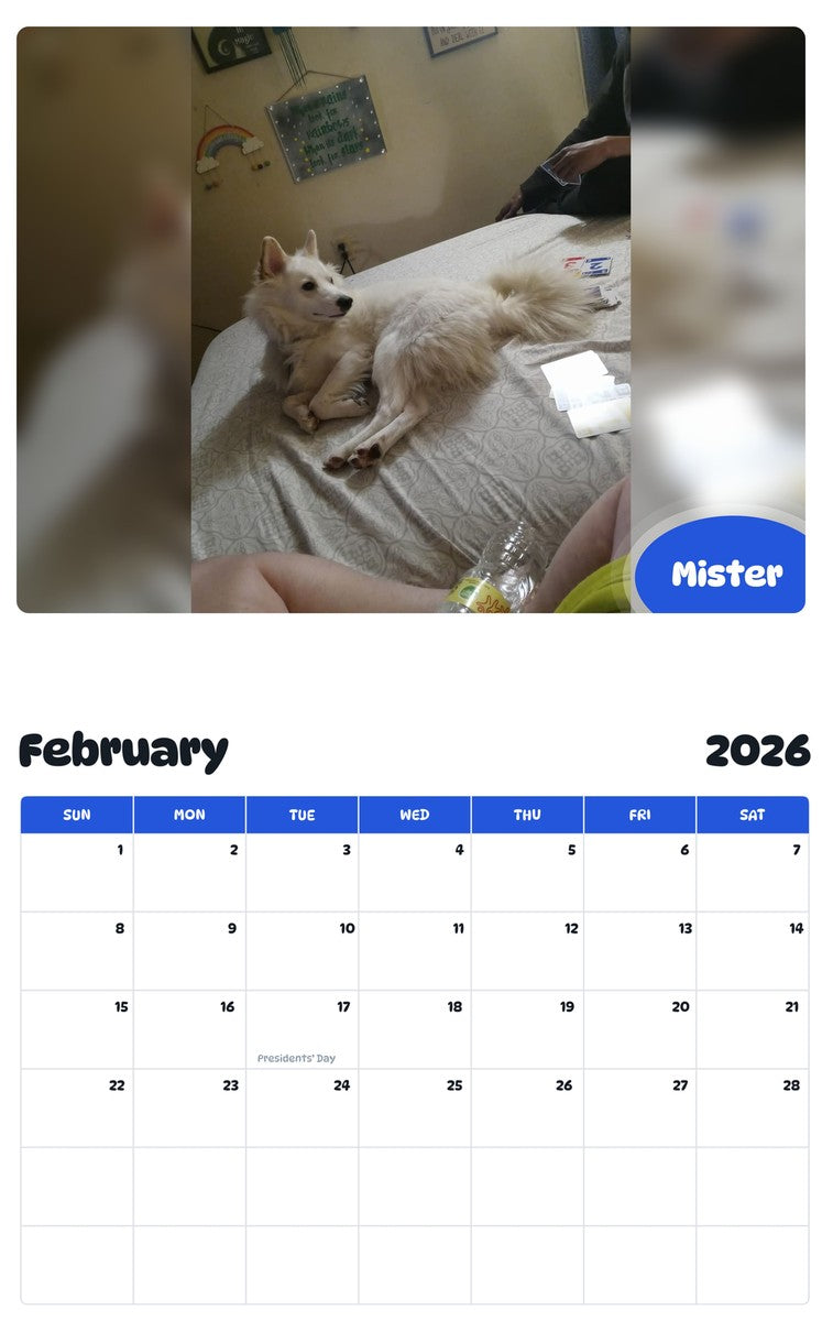 October 2025 - September 2026 Mister - Pawidols Pet Calendar