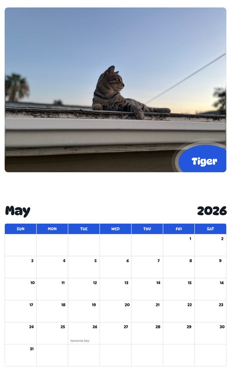 2026 - 2027 Tiger - Pawidols Pet Calendar