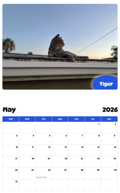 2026 - 2027 Tiger - Pawidols Pet Calendar