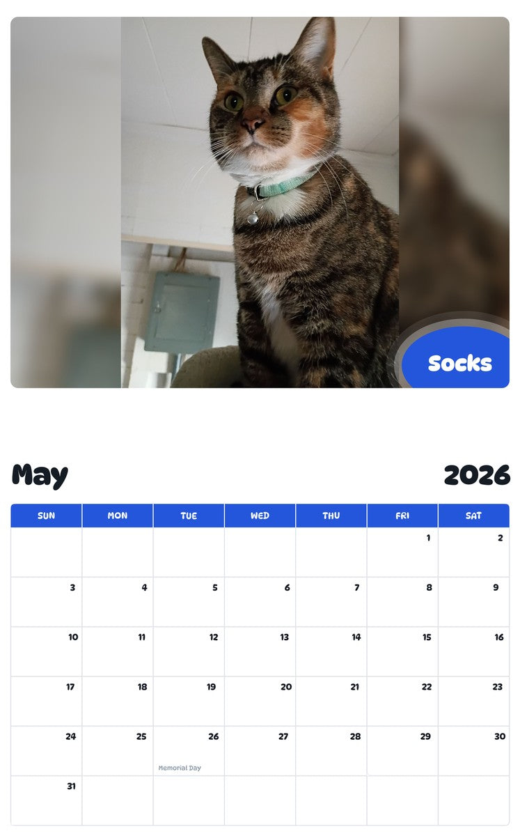 2026 - 2027 Socks - Pawidols Pet Calendar