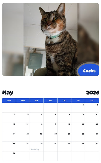 2026 - 2027 Socks - Pawidols Pet Calendar