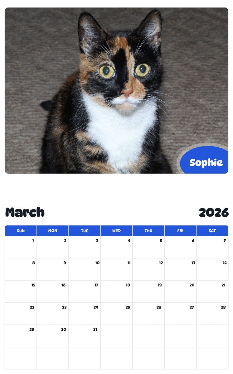 November 2025 - October 2026 Sophie - Pawidols Pet Calendar