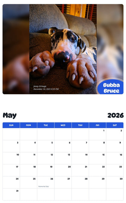 2026 - 2027 Bubba Bruce - Pawidols Pet Calendar