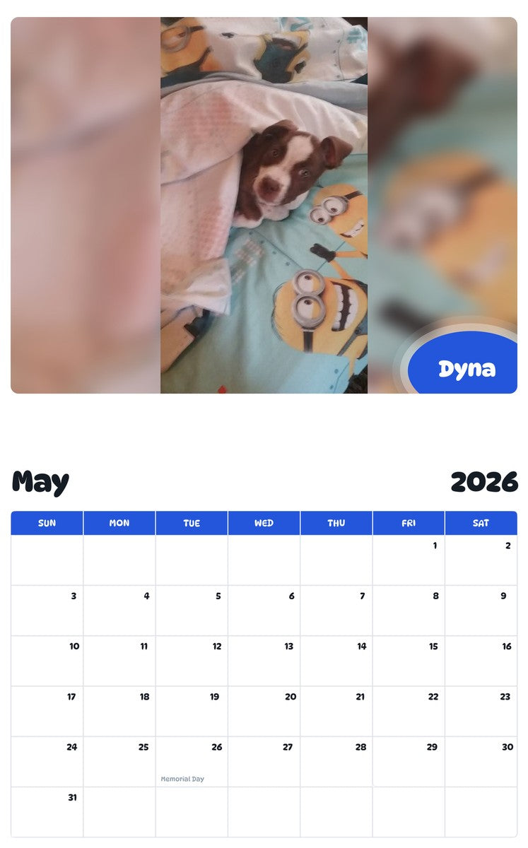 2026 - 2027 Dyna - Pawidols Pet Calendar