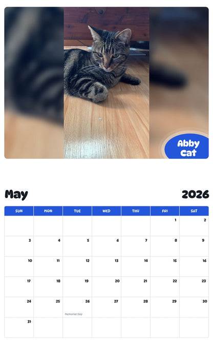 2026 - 2027 Abby Cat - Pawidols Pet Calendar