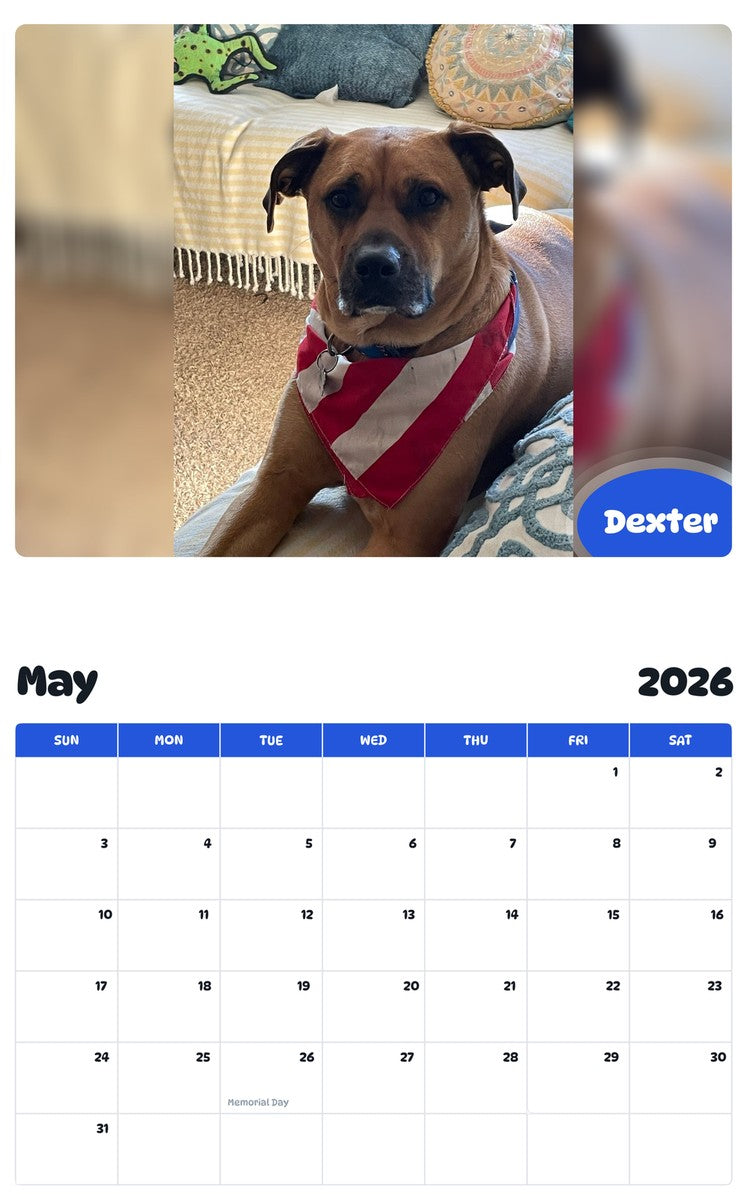 2026 - 2027 Dexter - Pawidols Pet Calendar