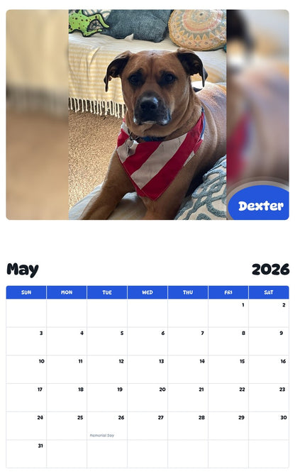 2026 - 2027 Dexter - Pawidols Pet Calendar