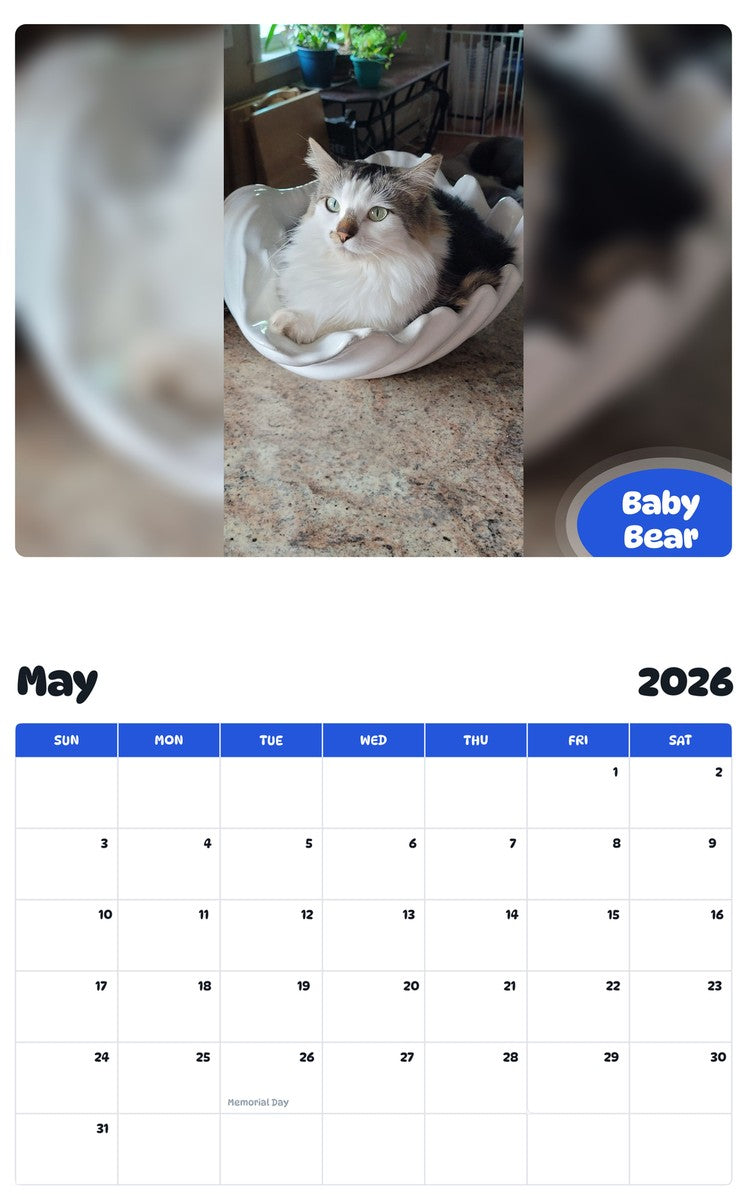 2026 - 2027 Baby Bear - Pawidols Pet Calendar