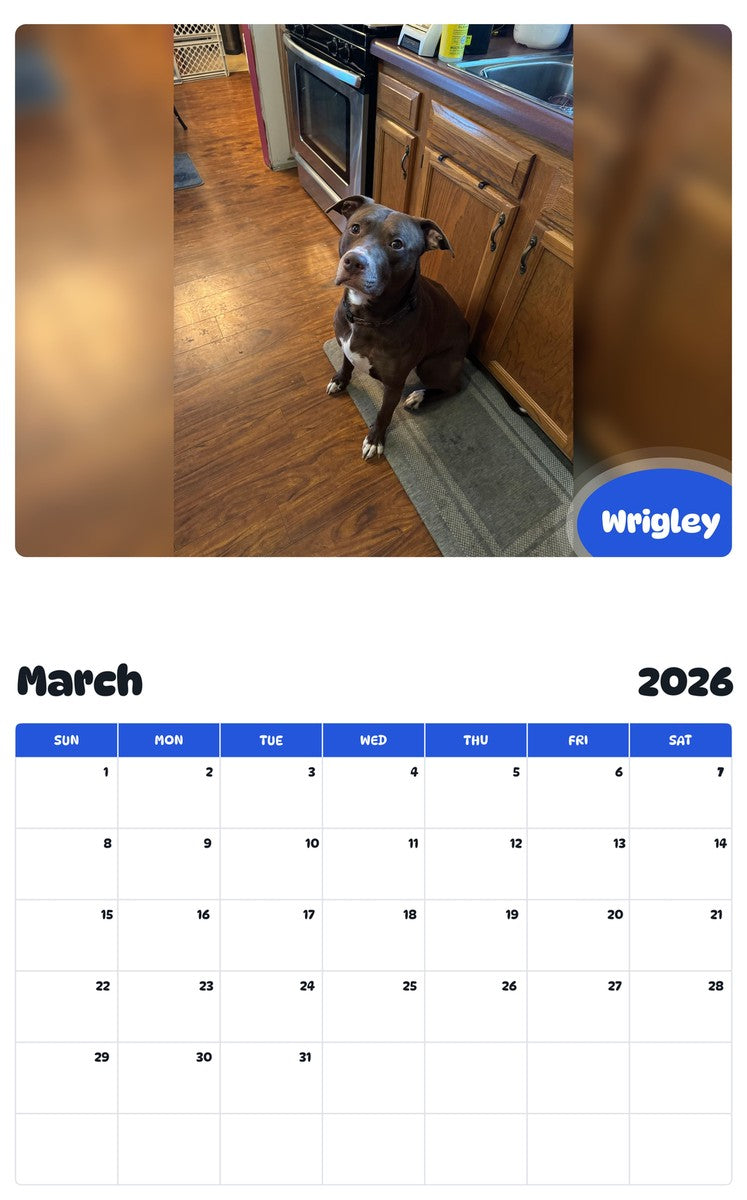 November 2025 - October 2026 Wrigley - Pawidols Pet Calendar