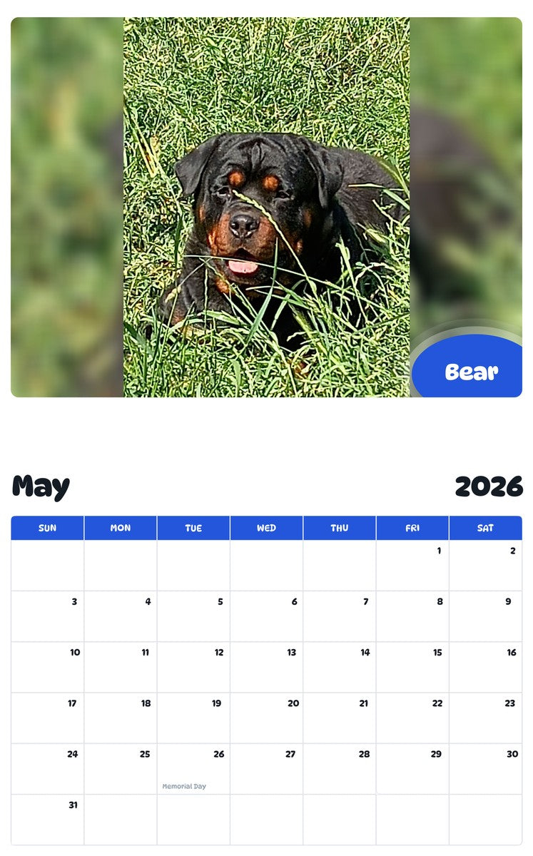 2026 - 2027 Bear - Pawidols Pet Calendar