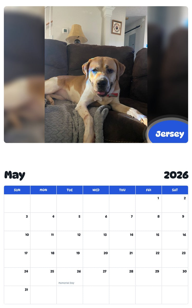 2026 - 2027 Jersey - Pawidols Pet Calendar