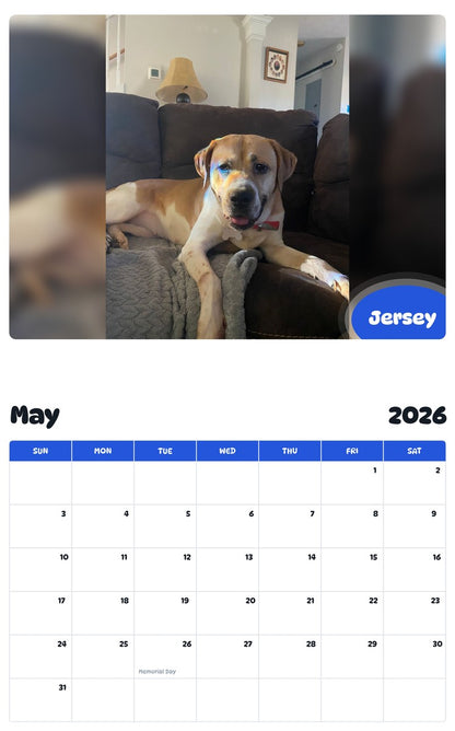 2026 - 2027 Jersey - Pawidols Pet Calendar