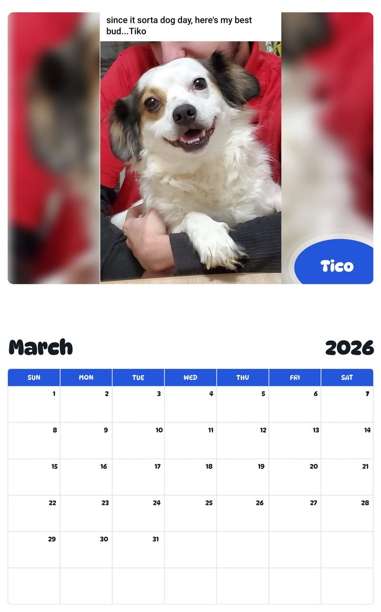 November 2025 - October 2026 Tico - Pawidols Pet Calendar