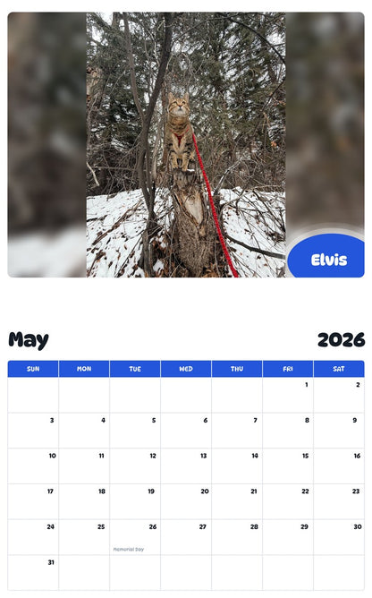 2026 - 2027 Elvis - Pawidols Pet Calendar