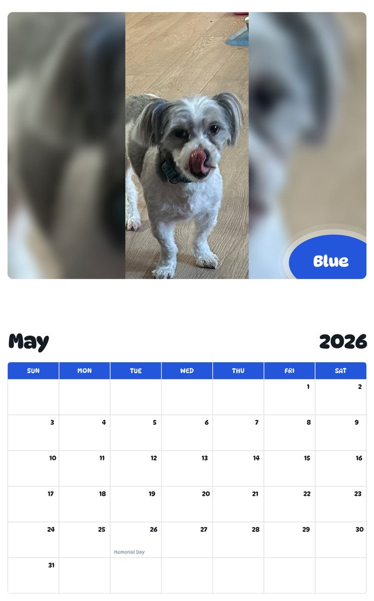 2026 - 2027 Blue - Pawidols Pet Calendar