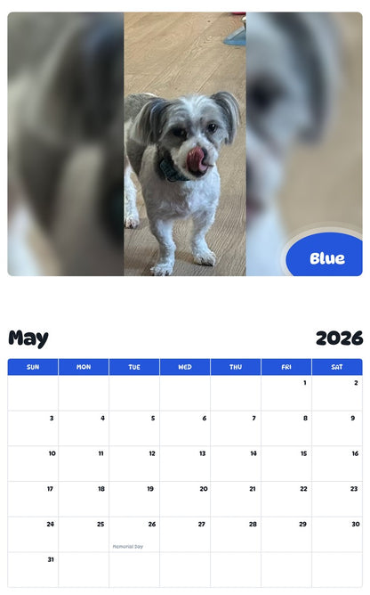 2026 - 2027 Blue - Pawidols Pet Calendar
