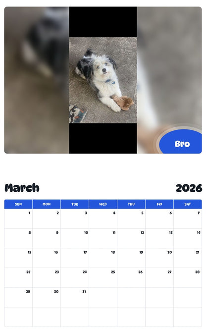 November 2025 - October 2026 Bro - Pawidols Pet Calendar