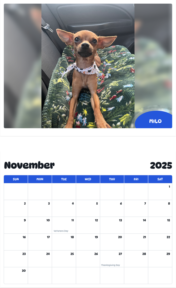 July 2025 - June 2026 Milo - Pawidols Pet Calendar