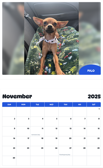 July 2025 - June 2026 Milo - Pawidols Pet Calendar