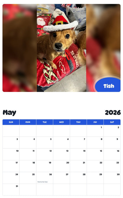 2026 - 2027 Tish - Pawidols Pet Calendar