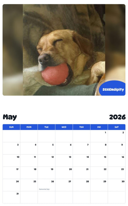 2026 - 2027 SERENdipity - Pawidols Pet Calendar