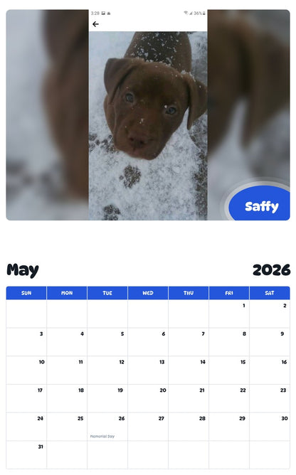 2026 - 2027 Saffy - Pawidols Pet Calendar