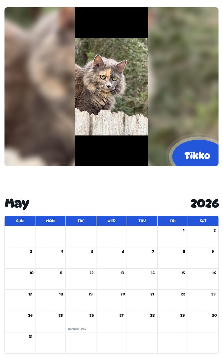 2026 - 2027 Tikko - Pawidols Pet Calendar