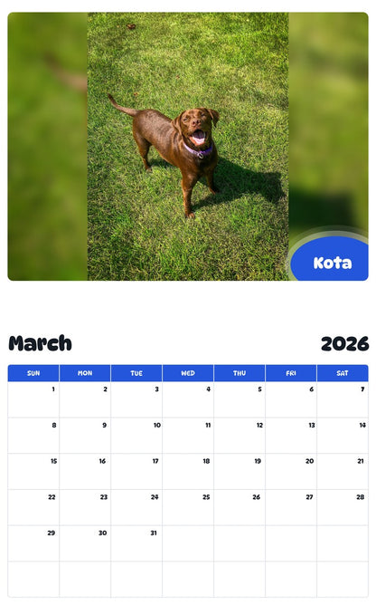 November 2025 - October 2026 Kota - Pawidols Pet Calendar