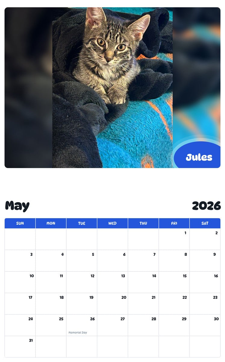 2026 - 2027 Jules - Pawidols Pet Calendar