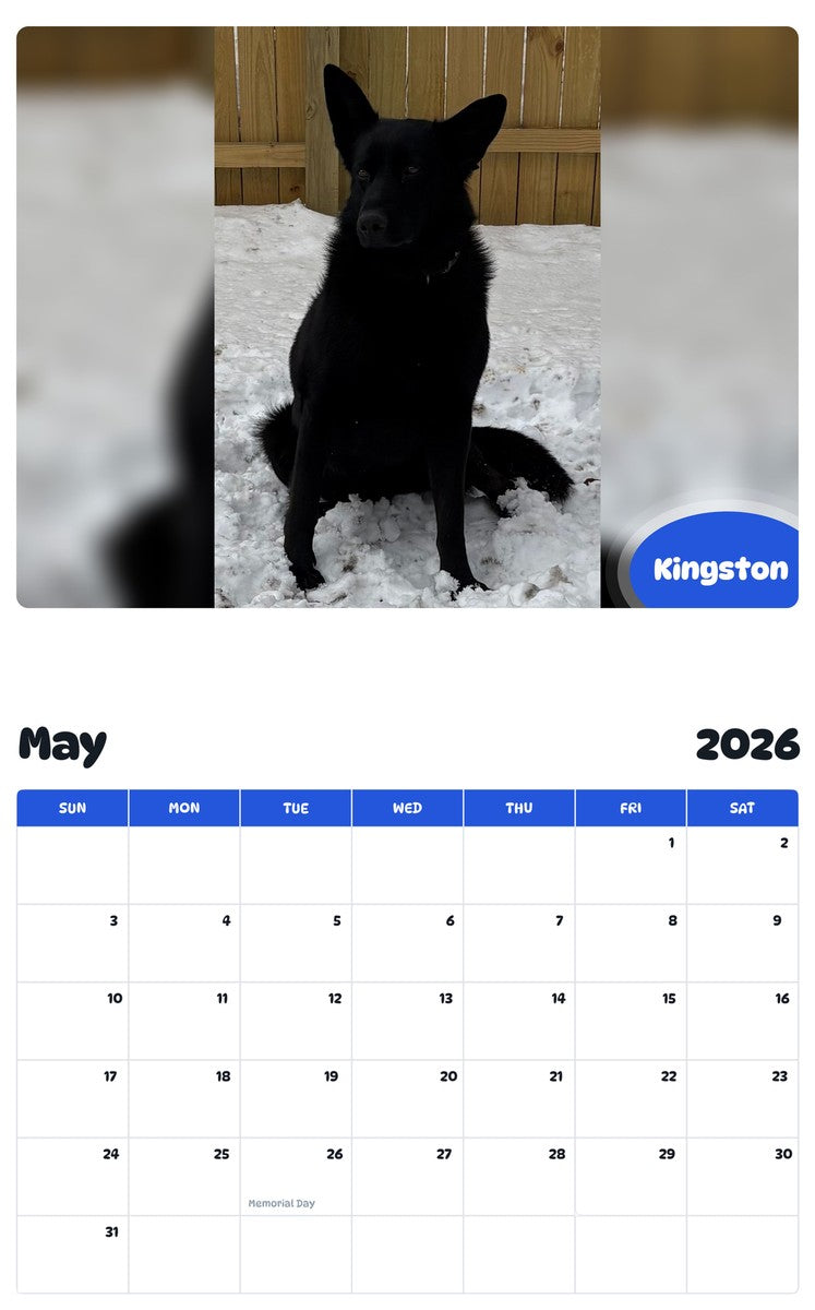 2026 - 2027 Kingston - Pawidols Pet Calendar