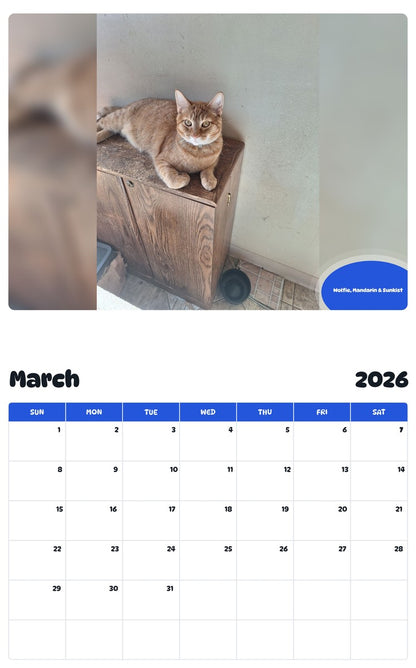 November 2025 - October 2026 Wolfie, Mandarin & Sunkist - Pawidols Pet Calendar