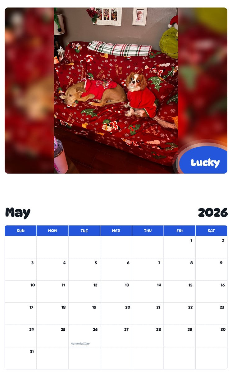 2026 - 2027 Lucky - Pawidols Pet Calendar