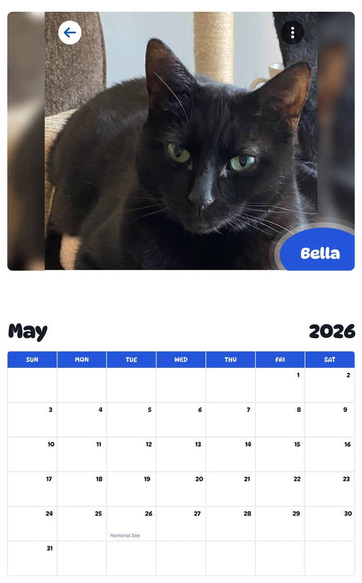 2026 - 2027 Bella - Pawidols Pet Calendar