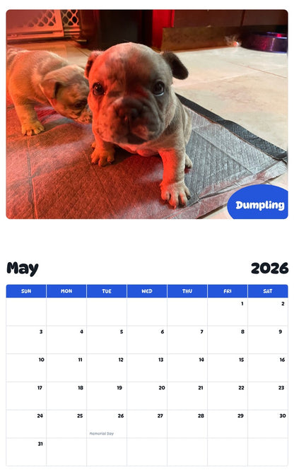2026 - 2027 Dumpling - Pawidols Pet Calendar