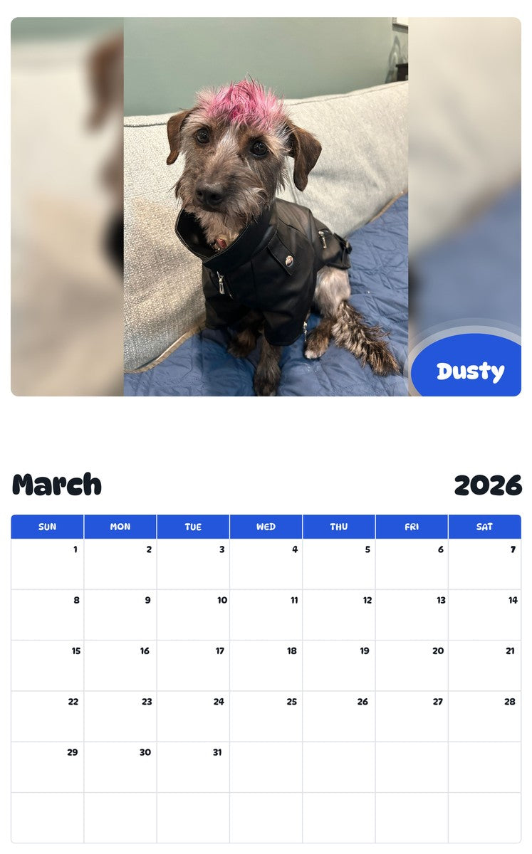 November 2025 - October 2026 Dusty - Pawidols Pet Calendar