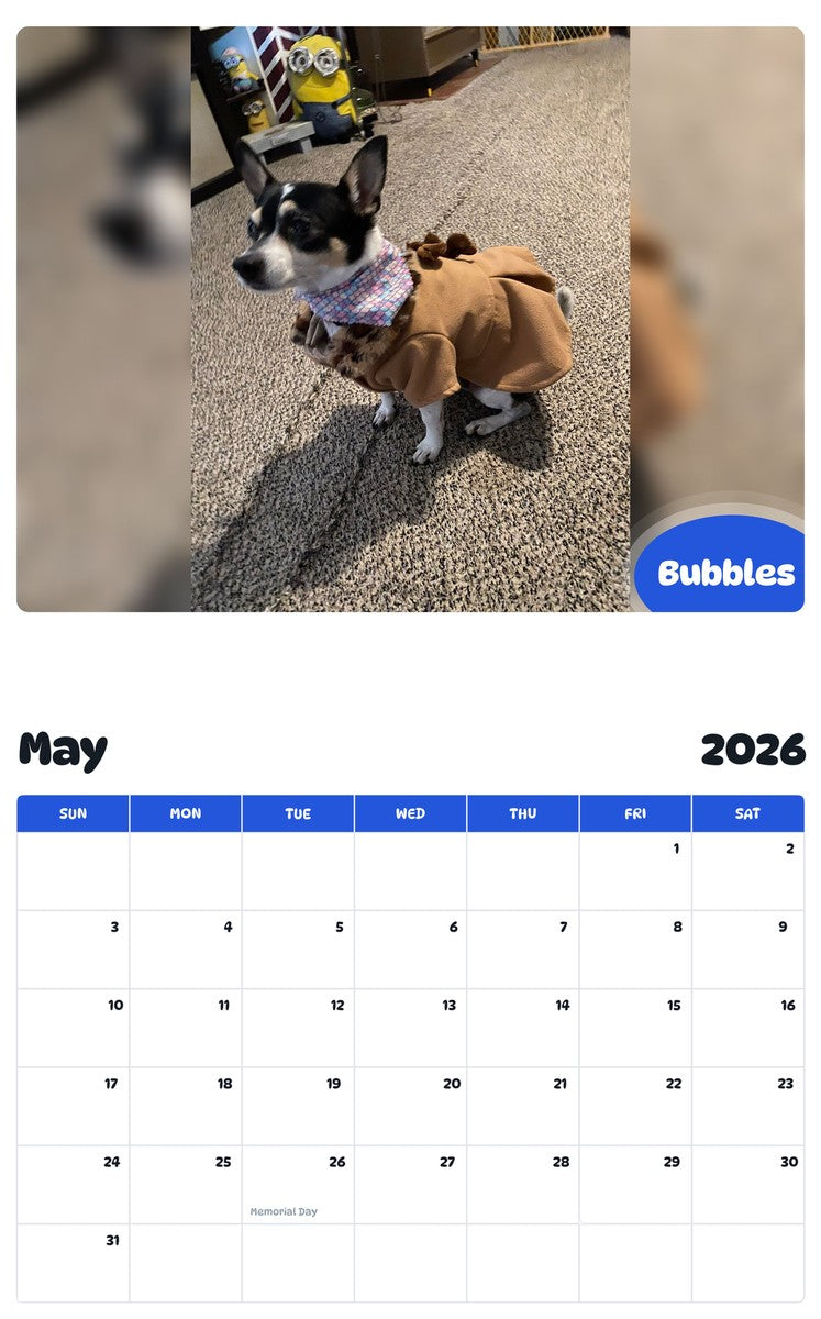 2026 - 2027 Bubbles - Pawidols Pet Calendar