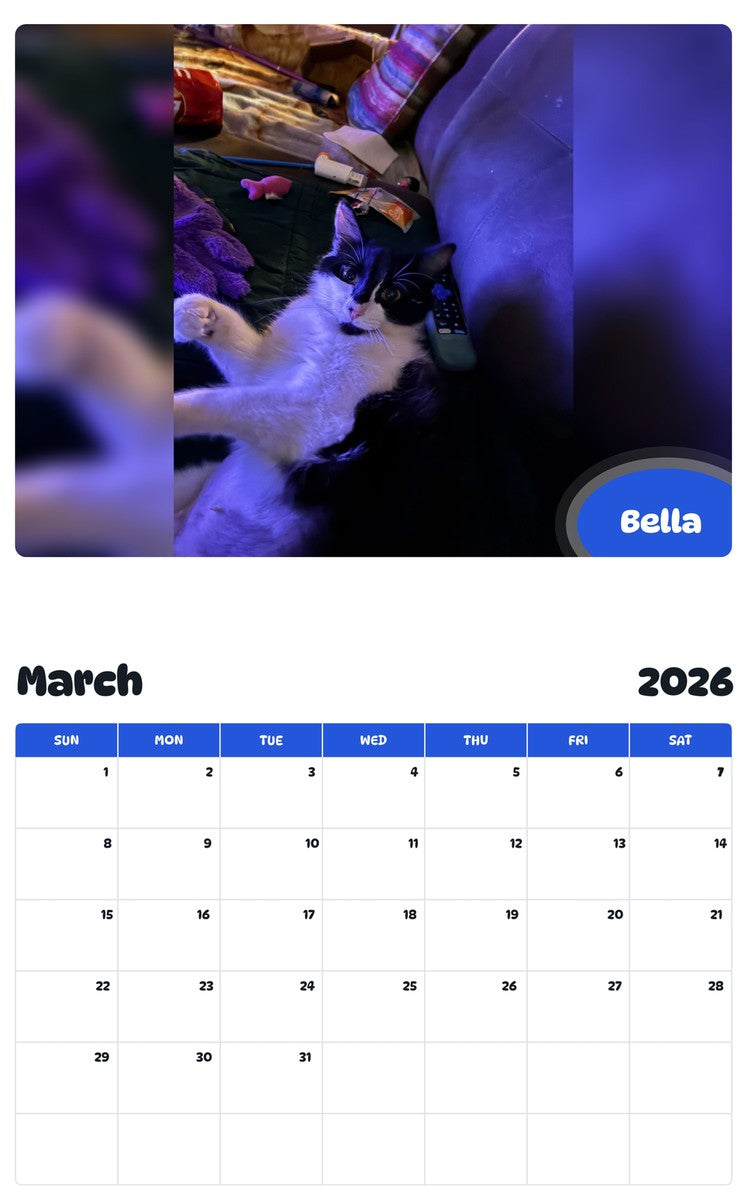 November 2025 - October 2026 Bella - Pawidols Pet Calendar