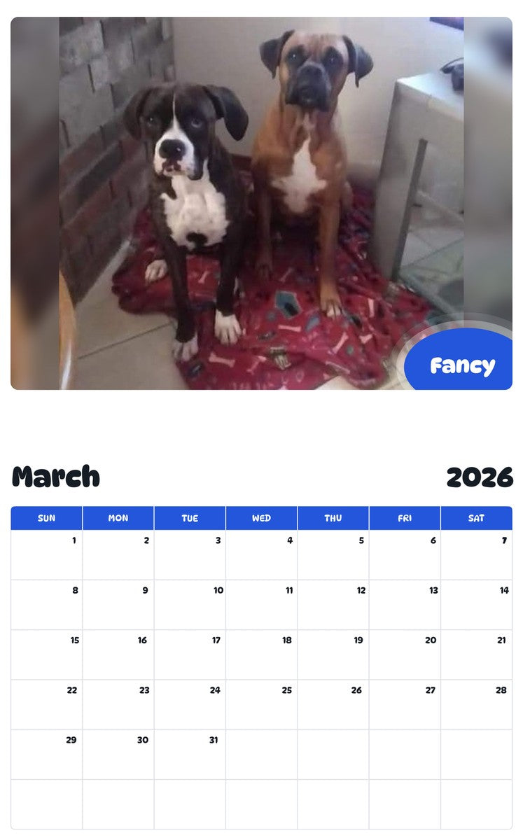 November 2025 - October 2026 Fancy - Pawidols Pet Calendar
