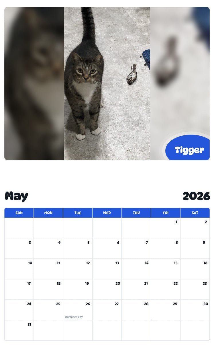2026 - 2027 Tigger - Pawidols Pet Calendar