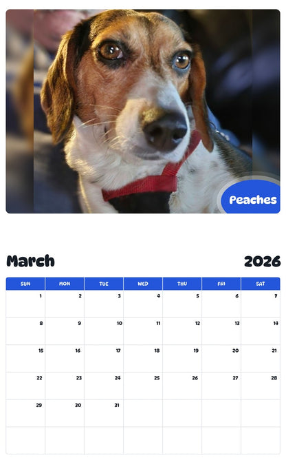 November 2025 - October 2026 Peaches - Pawidols Pet Calendar