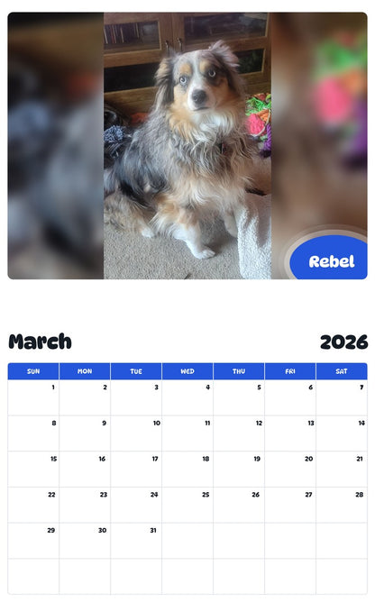 November 2025 - October 2026 Rebel - Pawidols Pet Calendar