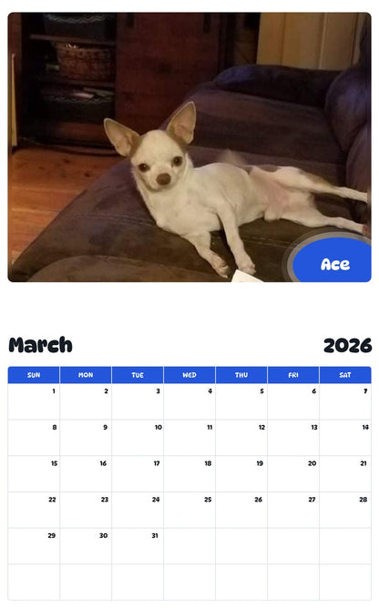 November 2025 - October 2026 Ace - Pawidols Pet Calendar