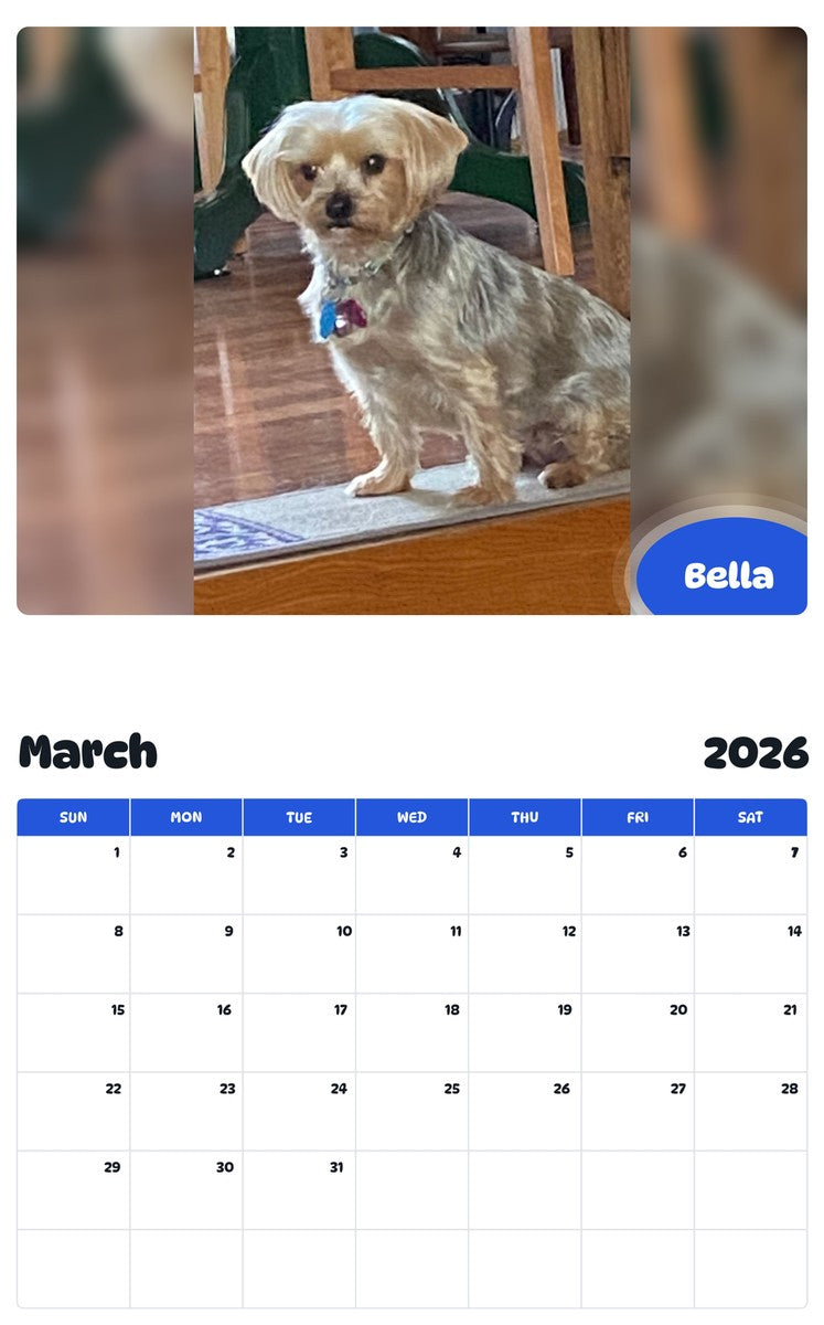 November 2025 - October 2026 Bella - Pawidols Pet Calendar