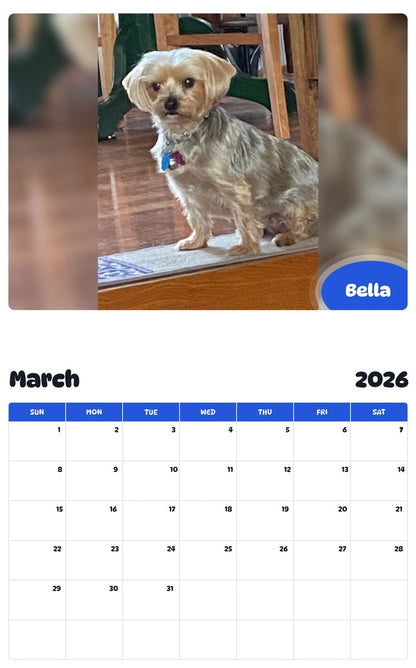 November 2025 - October 2026 Bella - Pawidols Pet Calendar