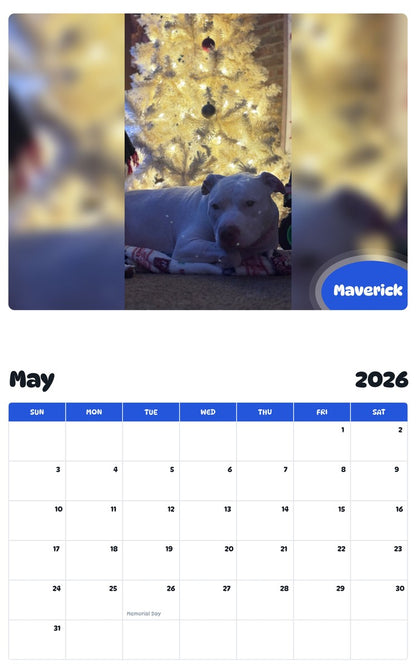 2026 - 2027 Maverick - Pawidols Pet Calendar