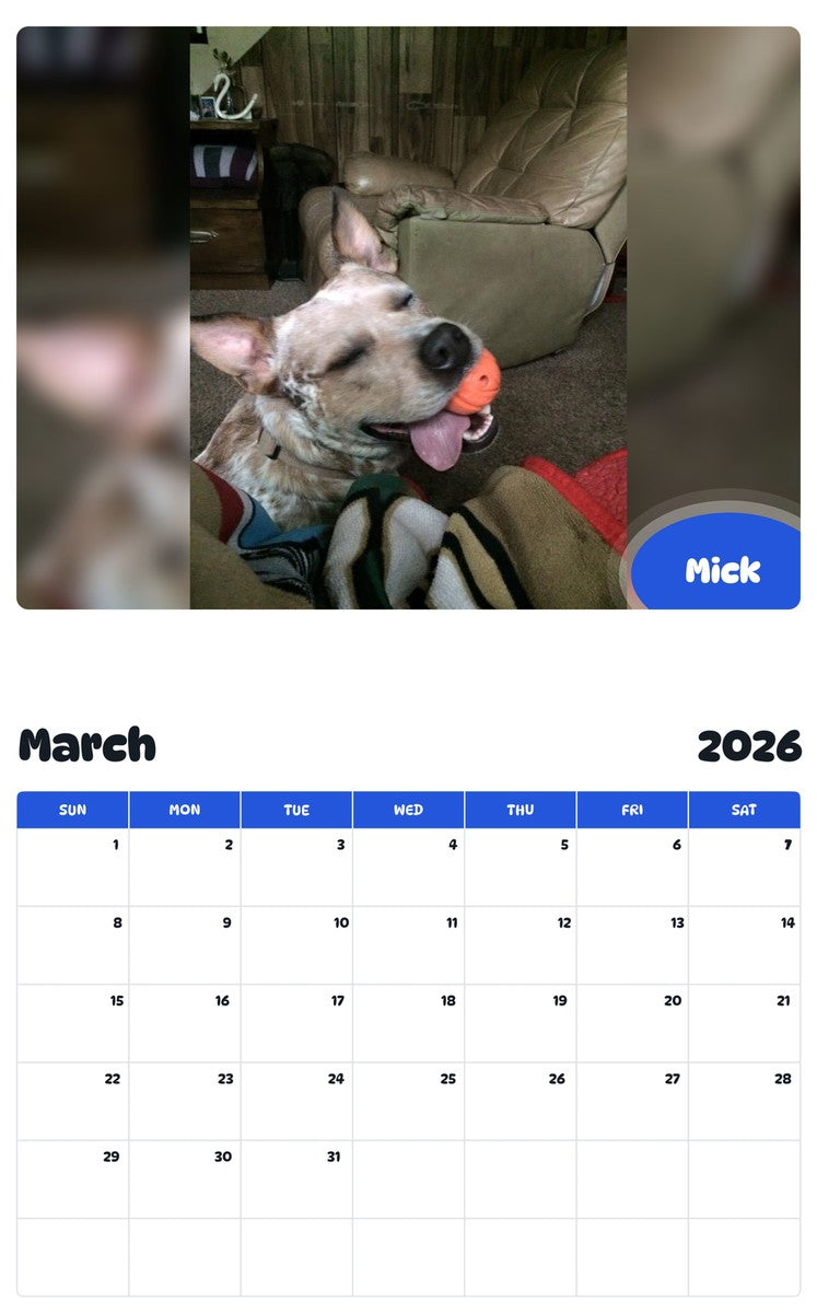 November 2025 - October 2026 Mick - Pawidols Pet Calendar