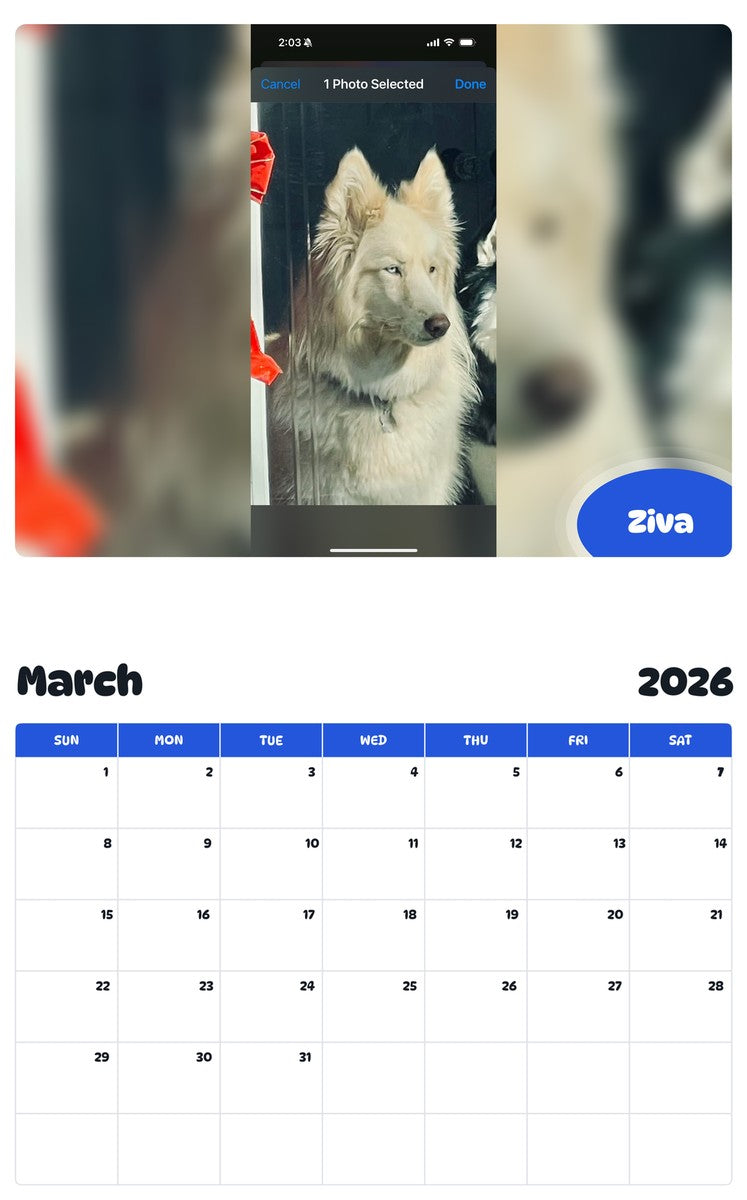 November 2025 - October 2026 Ziva - Pawidols Pet Calendar