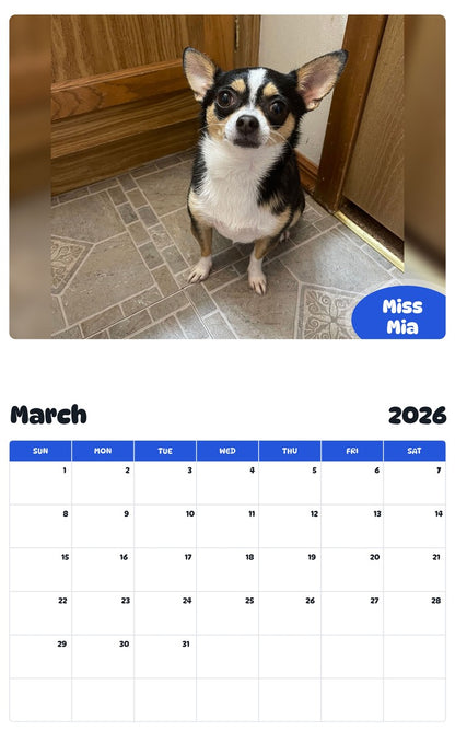 November 2025 - October 2026 Miss Mia - Pawidols Pet Calendar